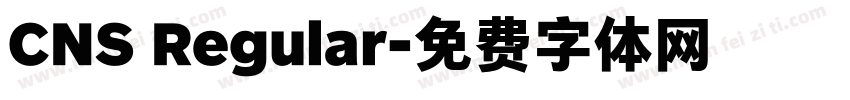 CNS Regular字体转换